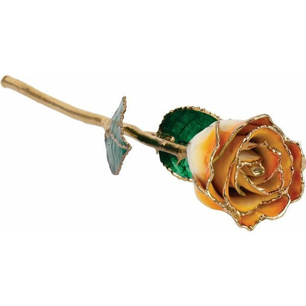 24K Gold Dipped Lacquered Cream Orange Genuine Rose