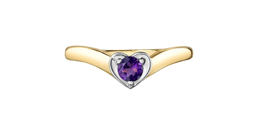 10K Yellow Gold Amethyst Ring, size 6