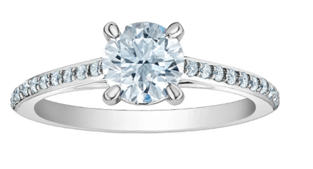 14K Lab Grown Round Brilliant Solitaire and Diamond Mount - Gold / Carat Total 5