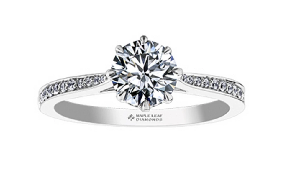 18K White Gold & Palladium Alloy (hypoallergenic) 0.83-2.15ttw Canadian Diamond Engagement Ring - / 0.83 Carat Total