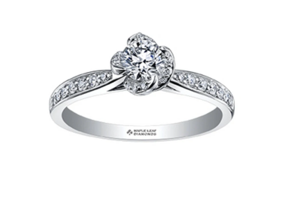 18K White & Yellow Gold Palladium Alloy (hypoallergenic) 0.60-0.80cttw Round Brilliant Canadian Diamond Engagement Ring - / 0.60 Carat Total