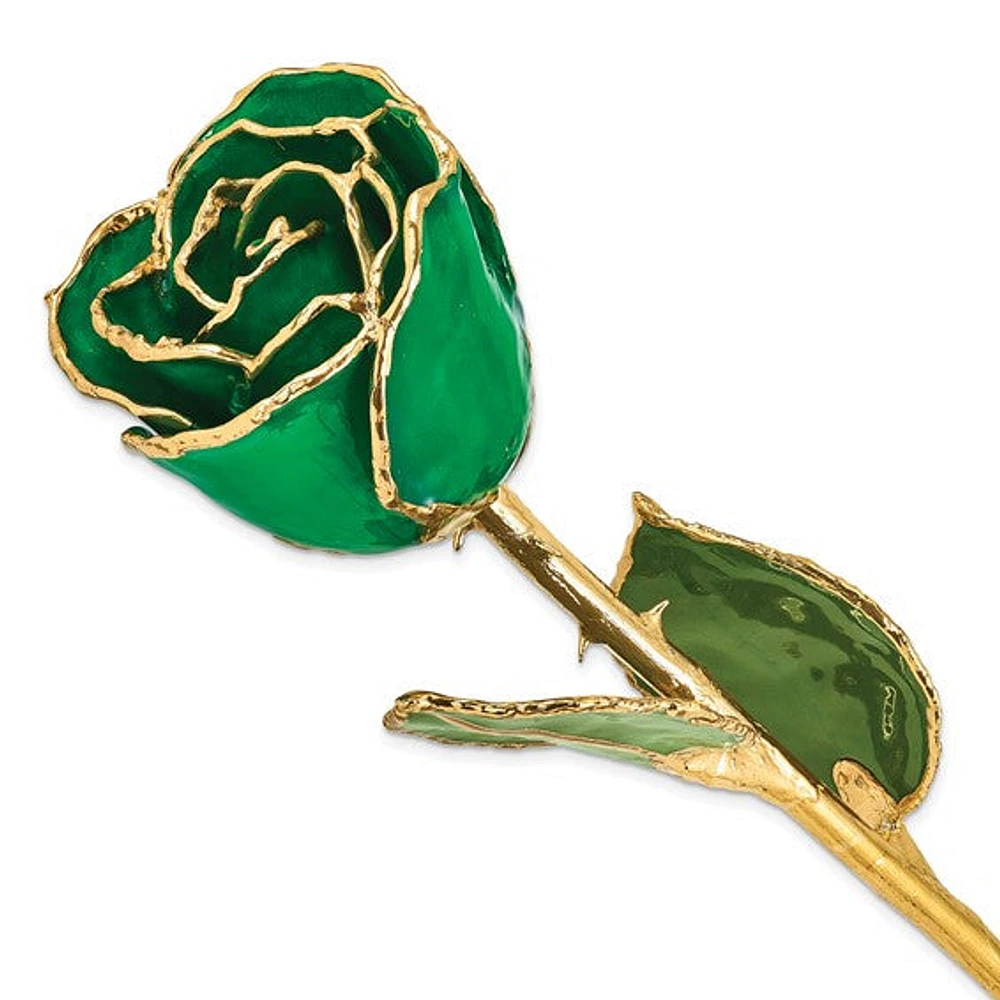 24K Lacquer Dipped Gold Trimmed Real Rose