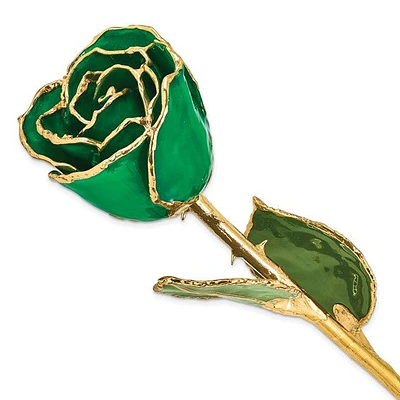 24K Lacquer Dipped Gold Trimmed Real Rose