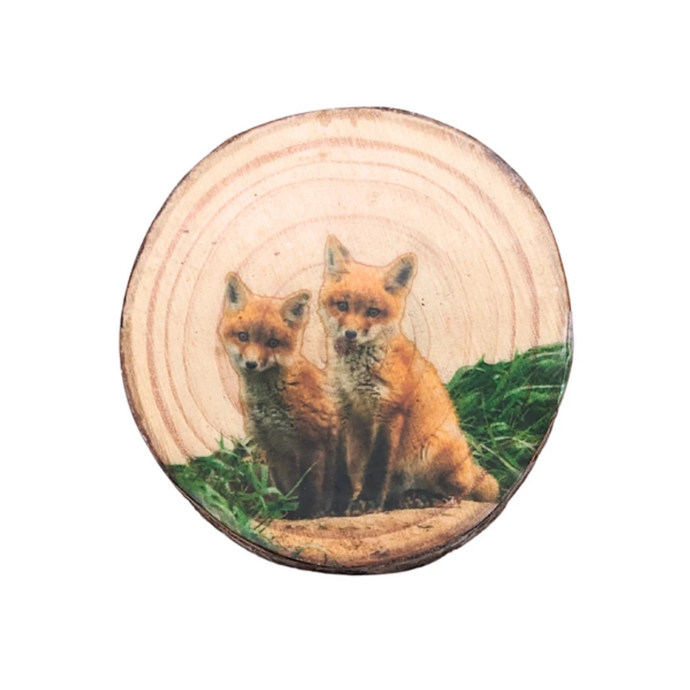 Wooden Magnet - Foxes