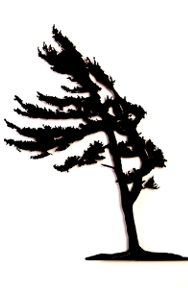 Windswept Pine - Wall