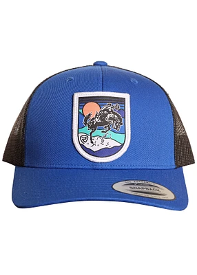 Dale Brisby Hat
