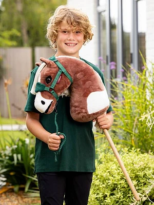Hobby Horse - Flash