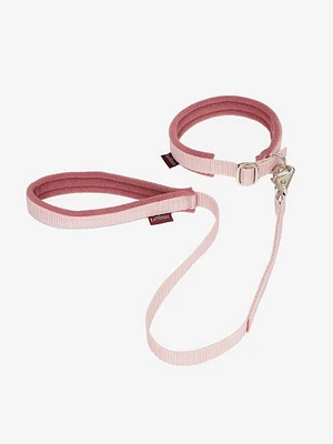 Toy Puppy - Collar and Lead Pink Azure