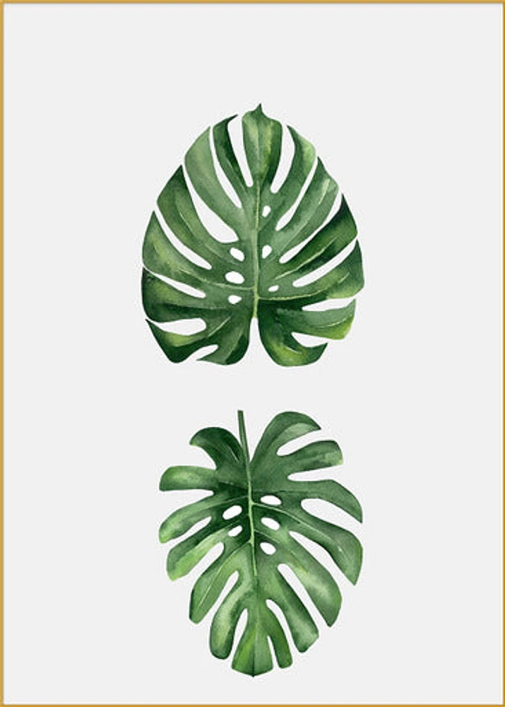 Forest Finds Set of 5 Alloy Matt - Golden Frame Wall Art