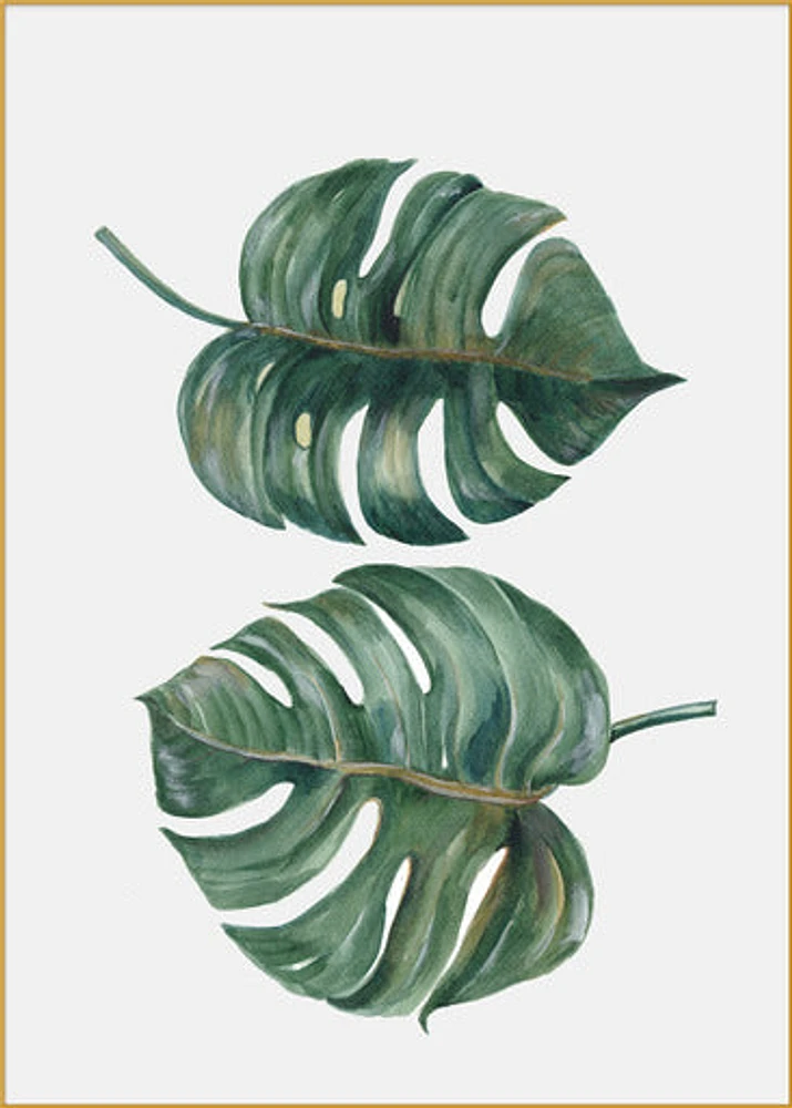 Forest Finds Set of 5 Alloy Matt - Golden Frame Wall Art