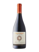 Caliterra Tributo Syrah 2021