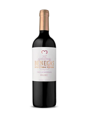 Benegas Lynch La Encerrada Vineyard Malbec 2019
