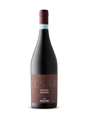 Cesari Bosan Single Vineyard Ripasso Valpolicella Superiore 2019