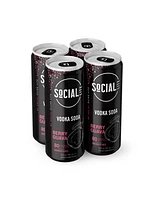 Social Lite Berry Guava Vodka Soda