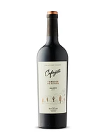 Cafayate Terroir de Altura Malbec 2022