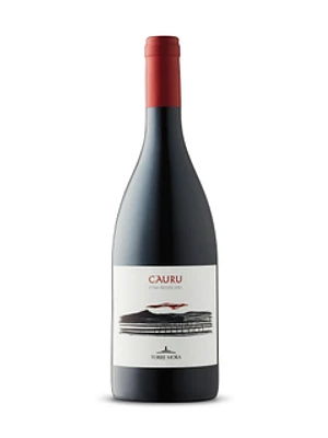 Torre Mora Cauru Etna Rosso 2022