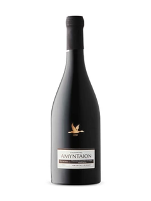 Amyntaion PDO Red 2021