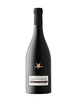 Amyntaion PDO Red 2021