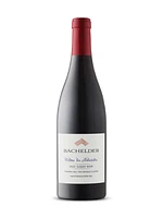 Bachelder Willms les Naturistes Gamay Noir Cru 2020