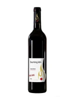 Burning Kiln Strip Room VQA