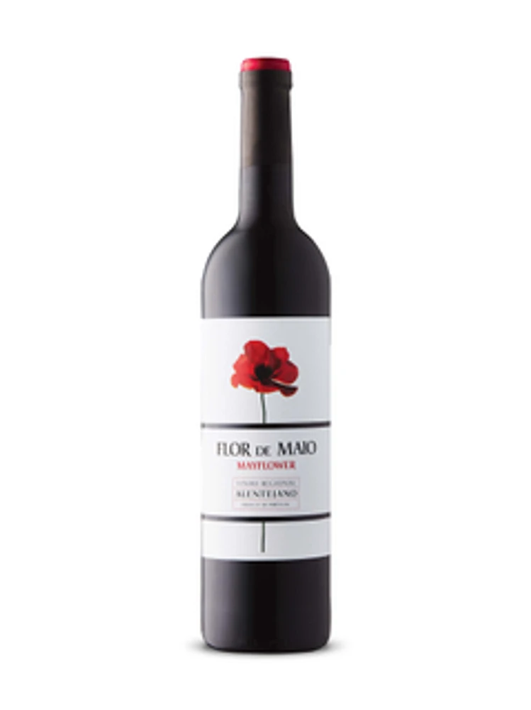 Flor de Maio Mayflower 2021