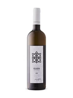 Turtle White 2019