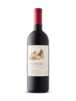 Fontodi Chianti Classico 2021