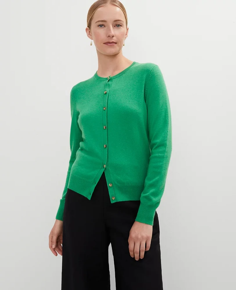 Ann Taylor Cardigan Women's