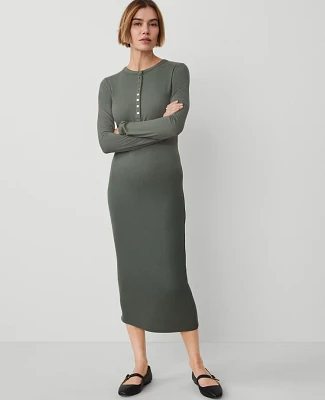 Ann Taylor Petite Weekend Collection Henley Knit Column Dress Dried Cilantro Women's