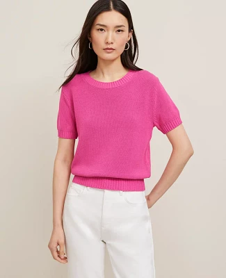 Ann Taylor Modern Sweater T-Shirt Women's