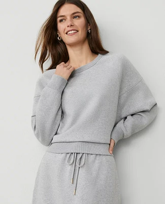 Ann Taylor Weekend Collection Raglan Sweatshirt Size 2XL Grey Cloud Heather Women's