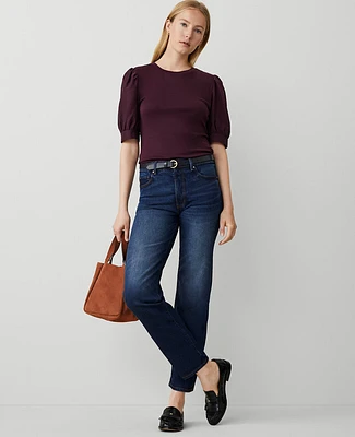 Ann Taylor Petite Straight Jeans Women's