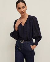 Ann Taylor Embroidered V-Neck Popover Top Women's