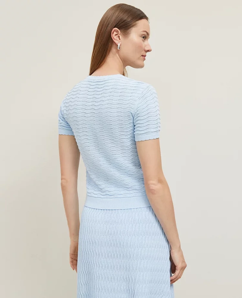Ann Taylor Petite Wavy Stitch Scalloped Sweater T-Shirt Size 2XS Zephyr Blue Women's