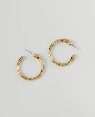 Ann Taylor Thin Hoop Earrings Women's