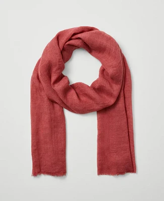 Ann Taylor Fringe Scarf Women's