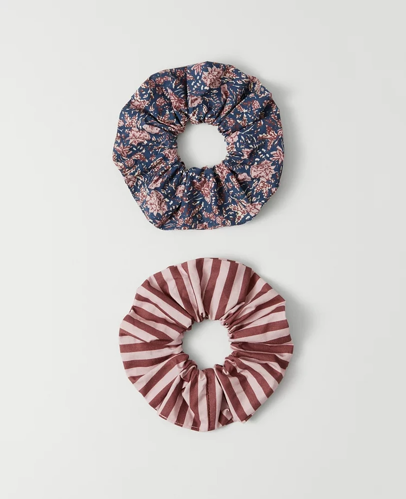 Ann Taylor Weekend Collection Floral Scrunchie Set Winter White Women's