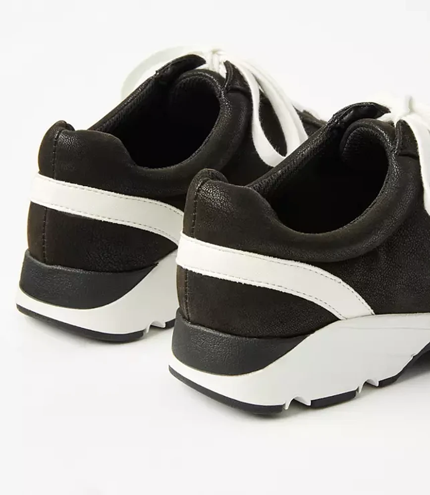 Chunky Lace Up Sneakers