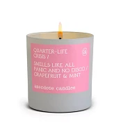 Anecdote Candles Quarter-Life Crisis Tumbler