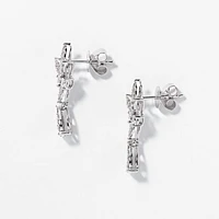 Diamond Dangle Earring in 10K White Gold (0.50 ct tw)
