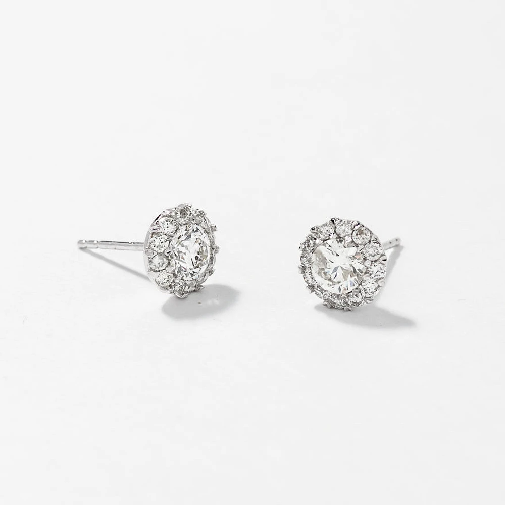 Diamond Stud Earrings in 14K White Gold (1.00 ct tw)