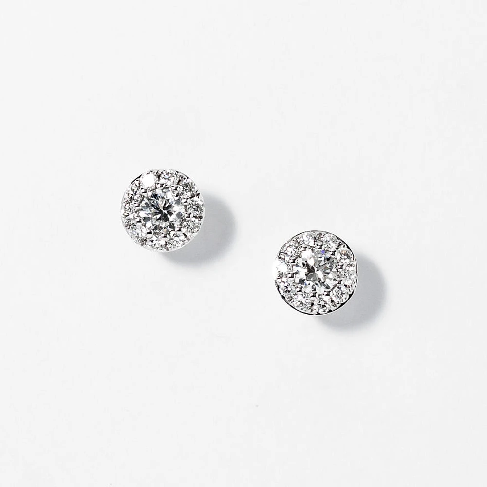 Diamond Cluster Earrings in 14K White Gold (0.62 ct tw)