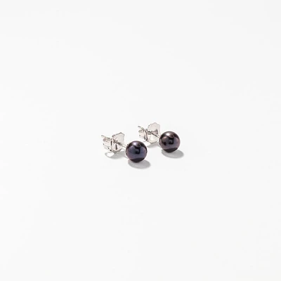 5-5.5mm Black Cultured Pearl Stud Earrings in 14K White Gold