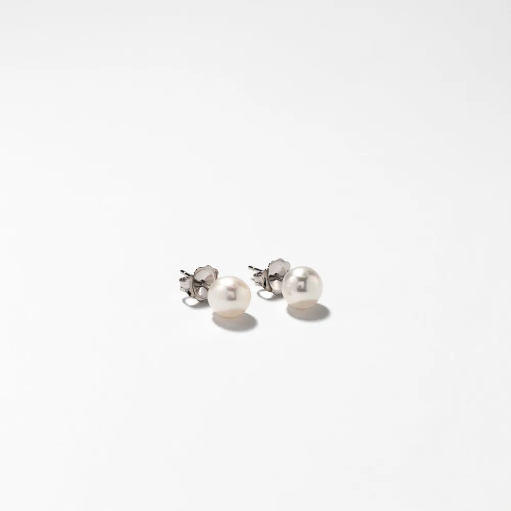 6-6.5mm Pearl Stud Earrings in 14K White Gold
