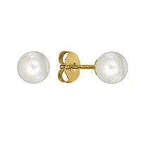 5-5.5mm Pearl Stud Earrings in 14K Yellow Gold