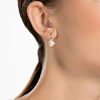 Bella V drop earrings, Round cut, Gold tone, Rose gold-tone plated by SWAROVSKI