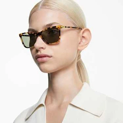 Sunglasses, Square shape, SK6004, Brown by SWAROVSKI