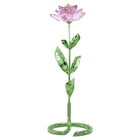 Florere Peony by SWAROVSKI