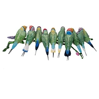 Crystal Myriad Gouldian Finches by SWAROVSKI