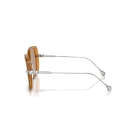 Sunglasses, Oversized, Square shape, SK6011, Brown by SWAROVSKI